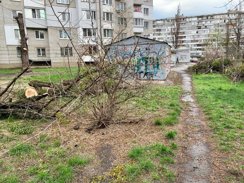 У Києві нещадно порізали дерева: "комусь не вистачає дров на шашлики?"