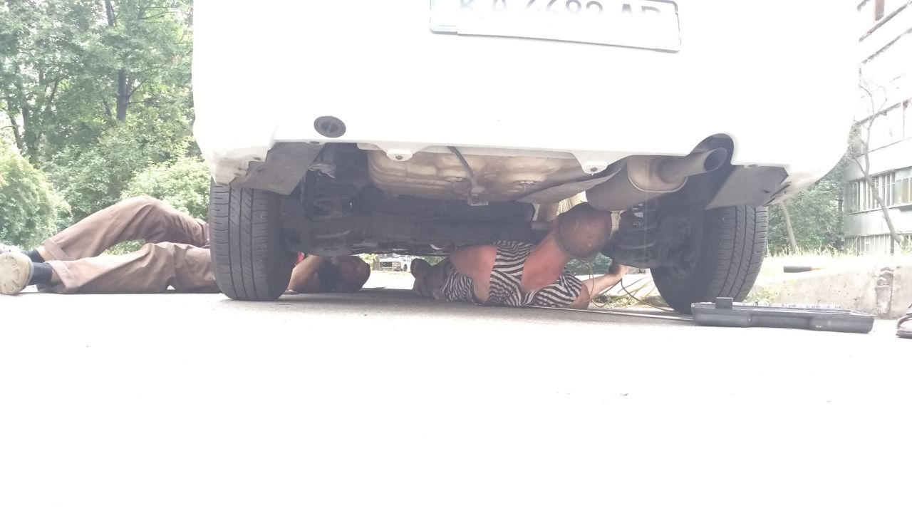 У Києві змія втекла від господарів і заповзла в автомобіль таксі (фото)