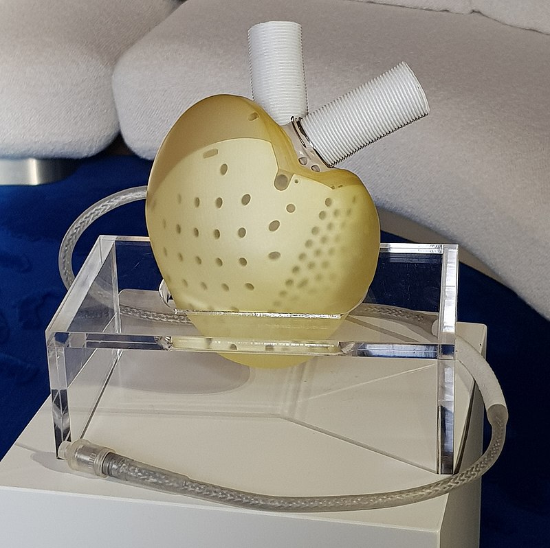 В США трансплантували повністю штучне чотирикамерне серце