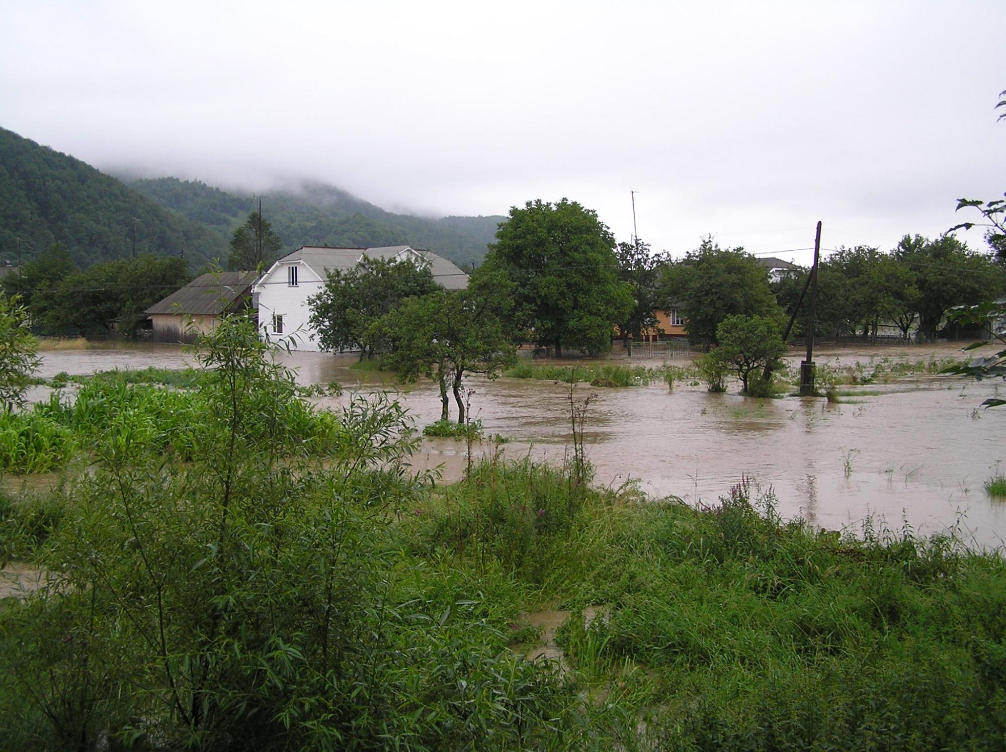 Руйнівна повінь у Карпатах: як це було в 2008-му (фото)