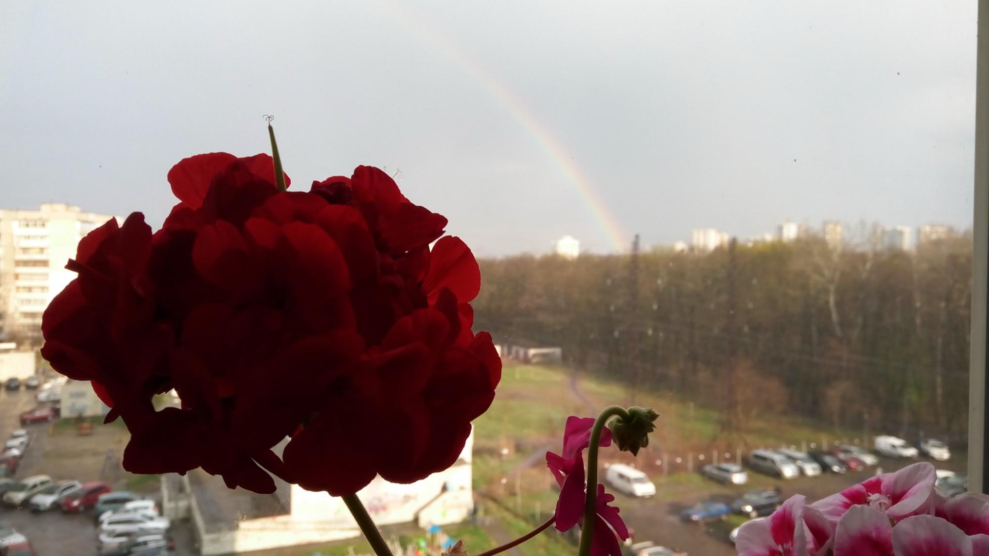 Над небом Києва розкинулася чарівна веселка-міст: &quot;весняна природа незабутня!&quot; (Фото)