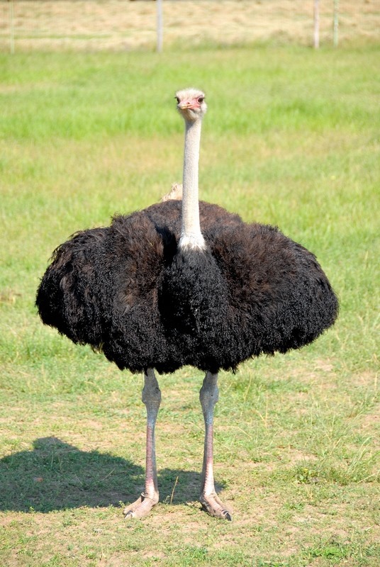 Куди вирушити, якщо на вихідні ви залишились в Києві