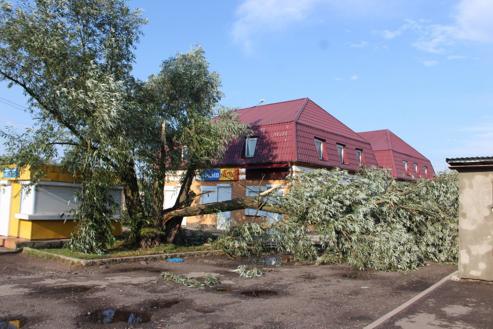 Улицы превратились в горные реки: запад Украины сильно пострадал от ливня и урагана