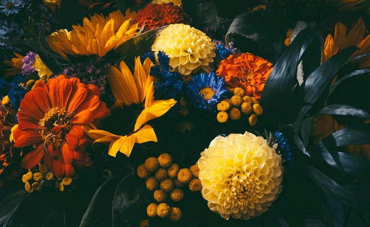 День учителя в Украине: самая важная традиция, которую нужно соблюсти