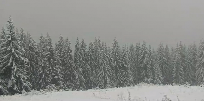 Карпаты завалило снегом: можно начинать лыжный сезон (фото)