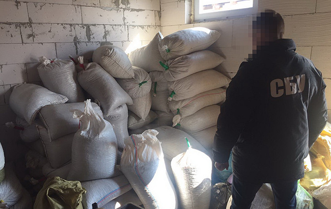 СБУ изъяла более 3 тонн янтаря в Житомирской области