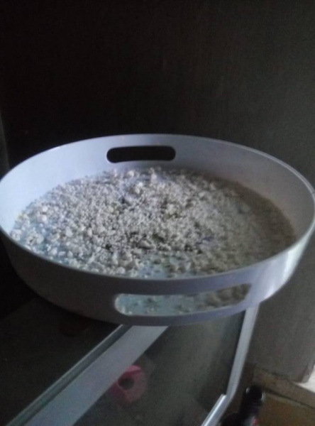 У Київській області СБУ вилучила амфетамін на півмільйона гривень