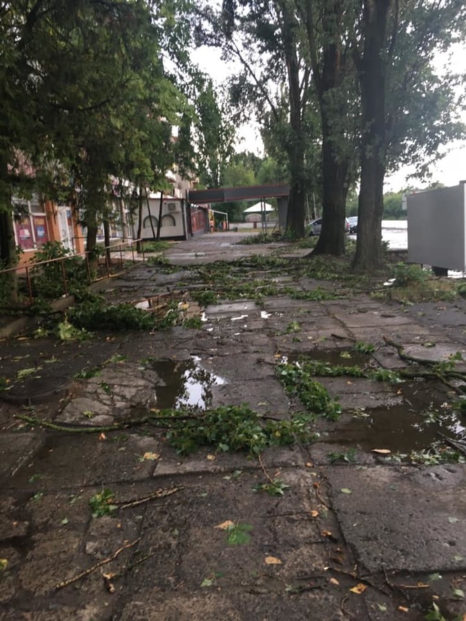 Закарпаття постраждало від потужного урагану: стихія наробила біди (відео)