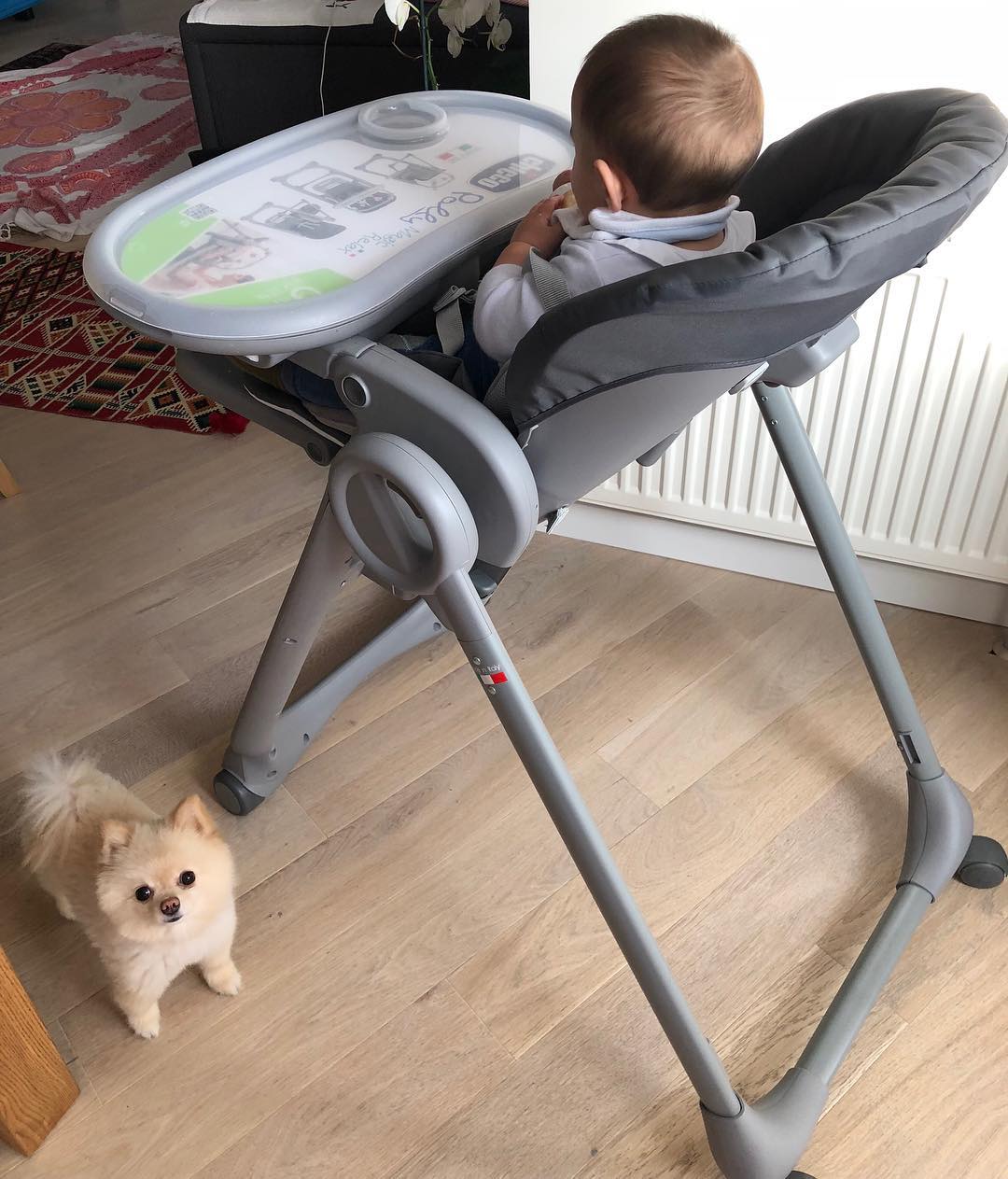 "Коли тобі 7 місяців": Джамала показала підрослого сина (фото)