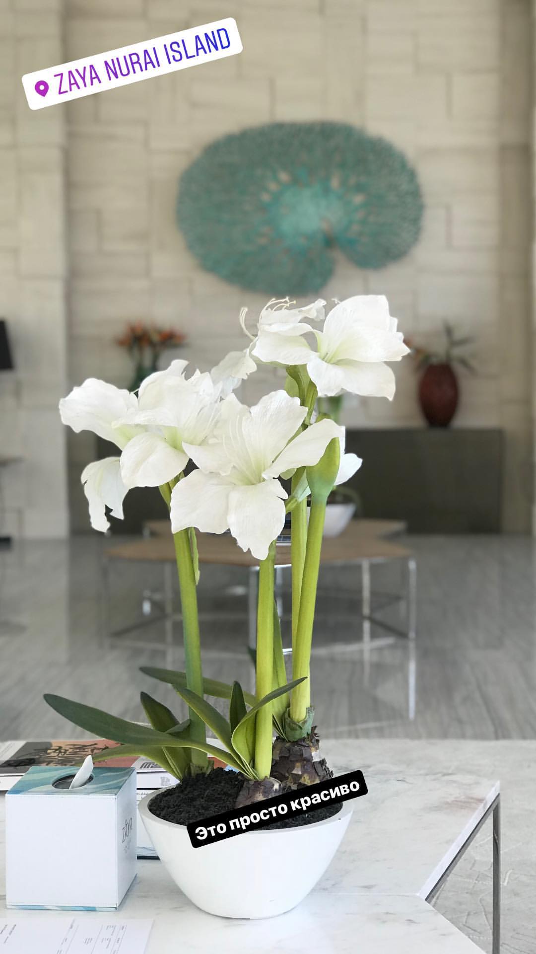 "И плевать на нос": Маша Ефросинина показала сочные фото с отдыха в Эмиратах