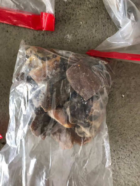На границе с Польшей задержали более 100 килограммов янтаря