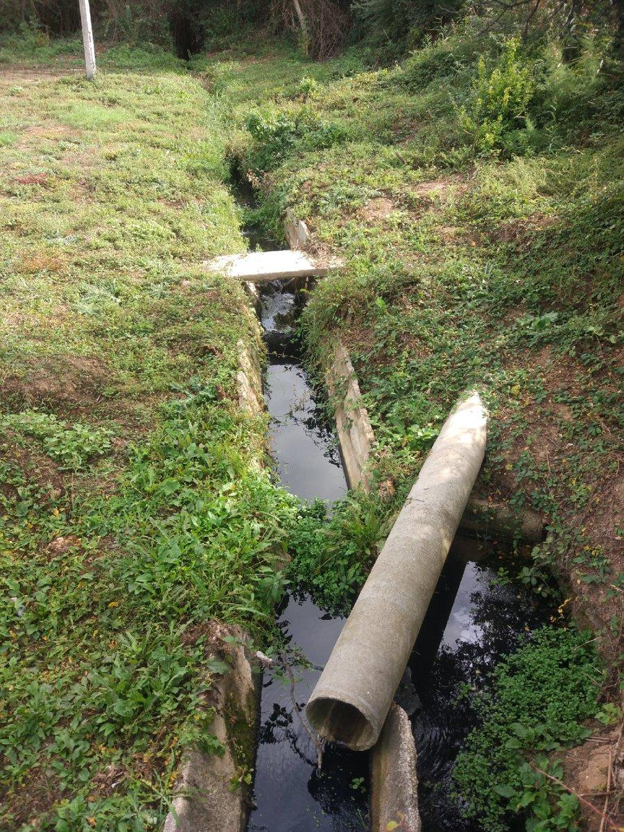 Россияне превращают Крым в помойку: новые фото морского &quot;пейзажа&quot;