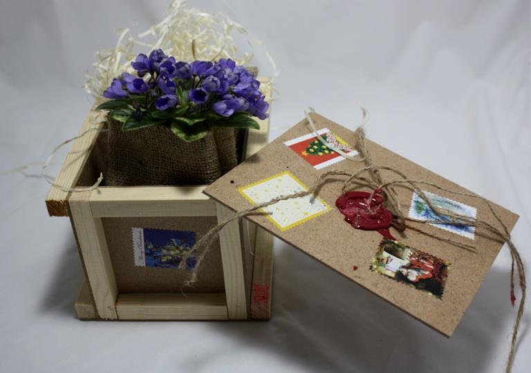 Фіалка розцвіла: українців запросили на унікальну виставку