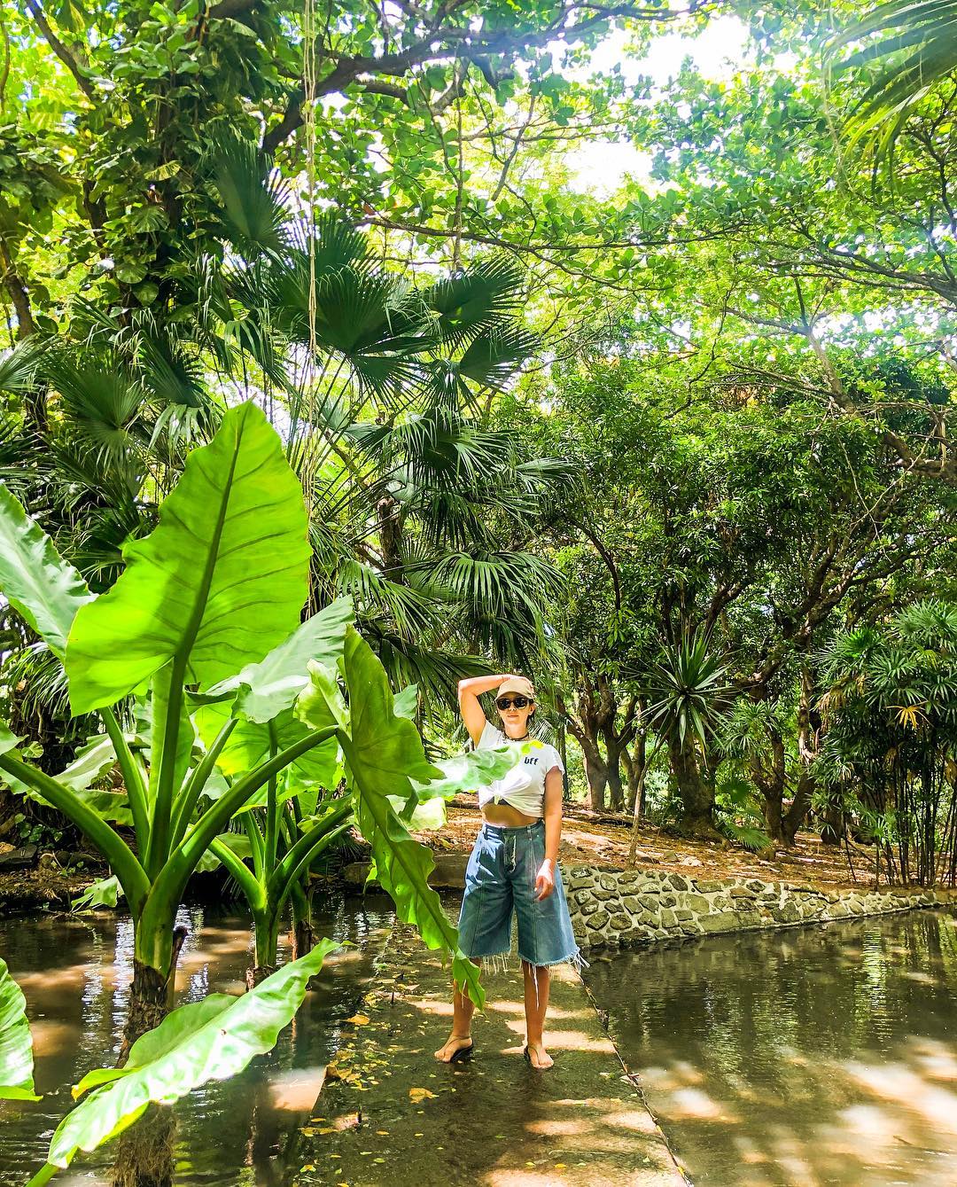 &quot;Вражаюча природа&quot;: Джамала похвалилася захоплюючими видами Маврикія (фото)