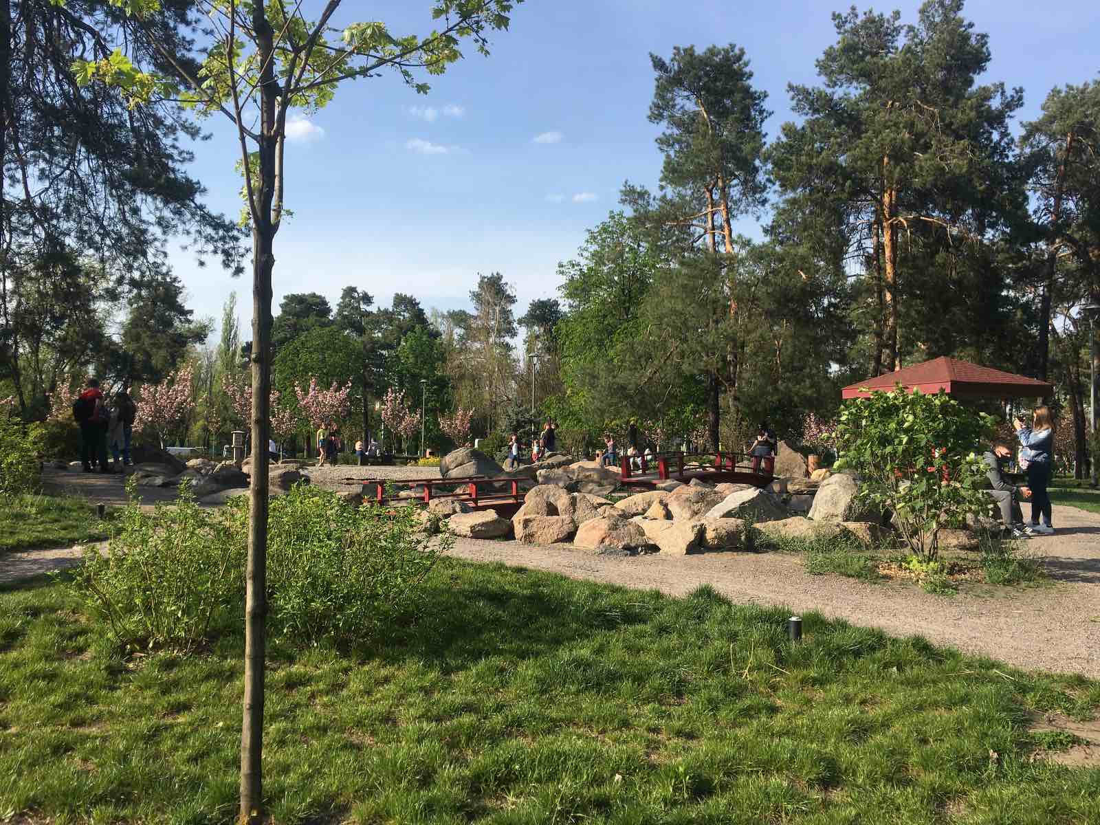 Ни одной пустой лавочки: появилось фото и видео, как в Киеве карантин соблюдают