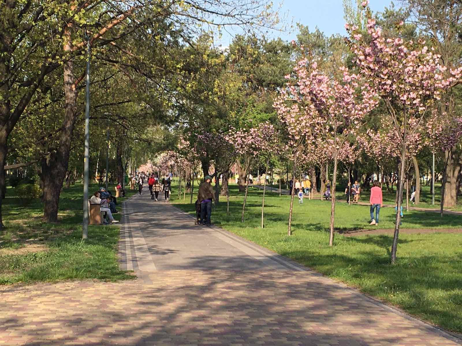 Ни одной пустой лавочки: появилось фото и видео, как в Киеве карантин соблюдают