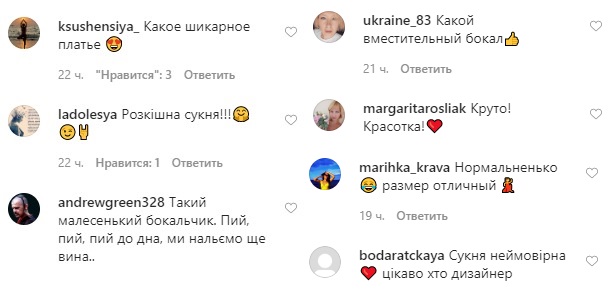 В платье-вышиванке и с огромным бокалом: Маша Ефросинина устроила веселую вечеринку