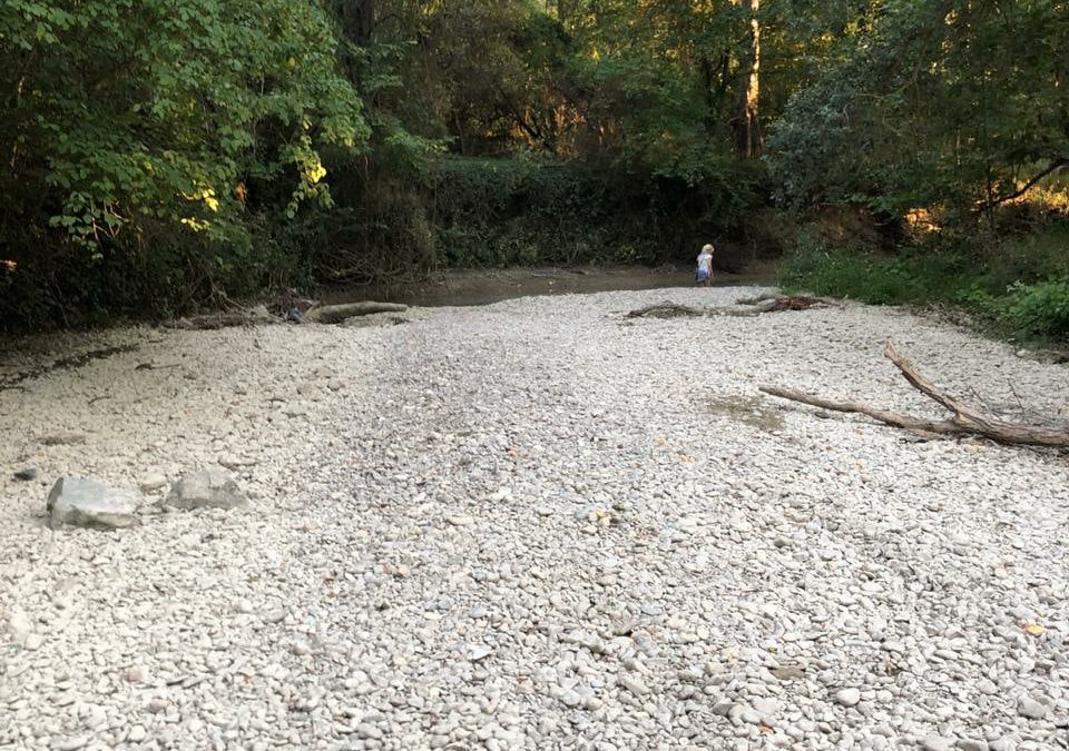 Крим зіткнувся з екологічною катастрофою: річки перетворилися в калюжі