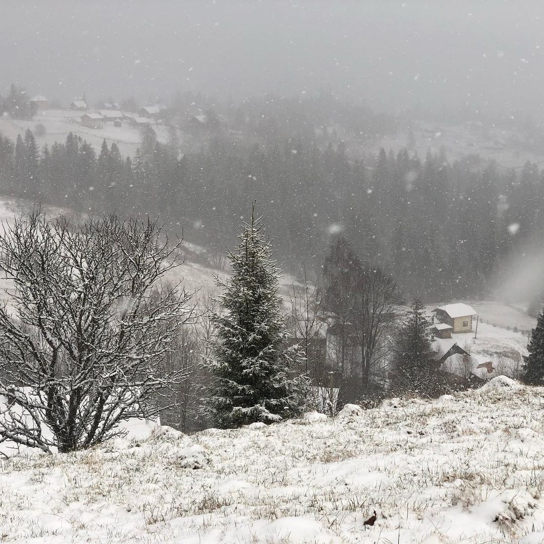 Западную Украину засыпало снегом: дети лепят снеговиков