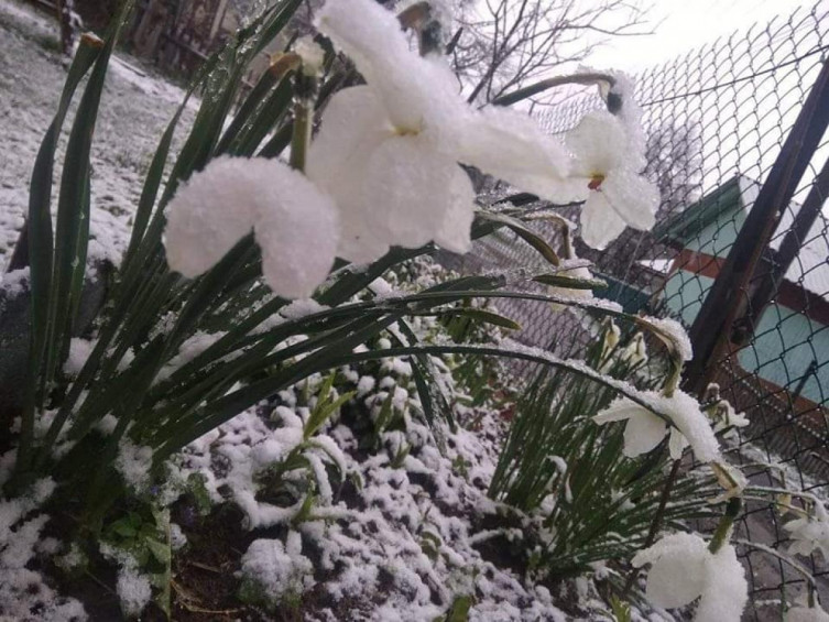Львів замело снігом, а температура +1: шокуючі фото і відео