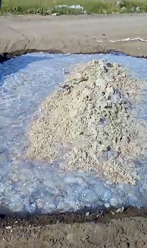 У Кирилівці образилися на мітинги через медуз і показали, як вирішують проблему (відео та фото)