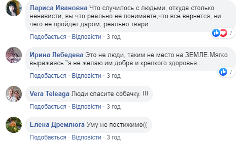 Діти відплатять їм так само: в Запоріжжі нелюди вирішили заморити Хатіко голодом (фото)