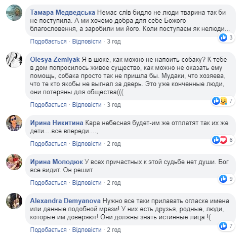 Діти відплатять їм так само: в Запоріжжі нелюди вирішили заморити Хатіко голодом (фото)