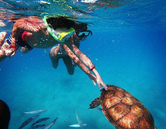 "Фантастично": екс-"ВІА Гра" в бікіні показала екзотичний підводний світ