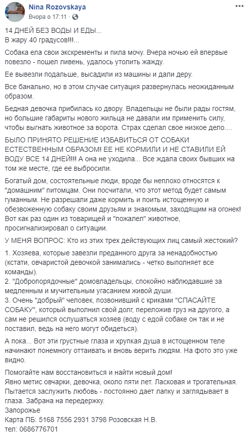 Діти відплатять їм так само: в Запоріжжі нелюди вирішили заморити Хатіко голодом (фото)