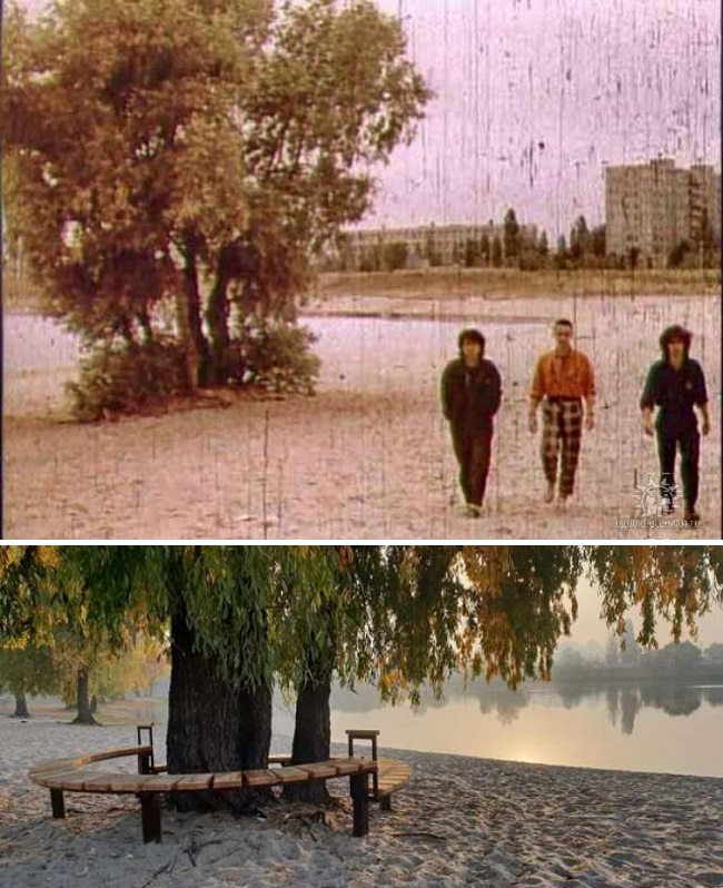 &quot;Дереву Цоя&quot; в Киеве дали охранный статус: как изменилась верба у озера