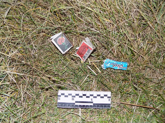 В Одеській області двоє зловмисників до смерті забили чоловіка