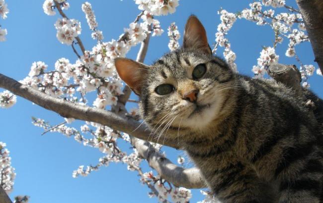 Підсумки дня: 20 квітня