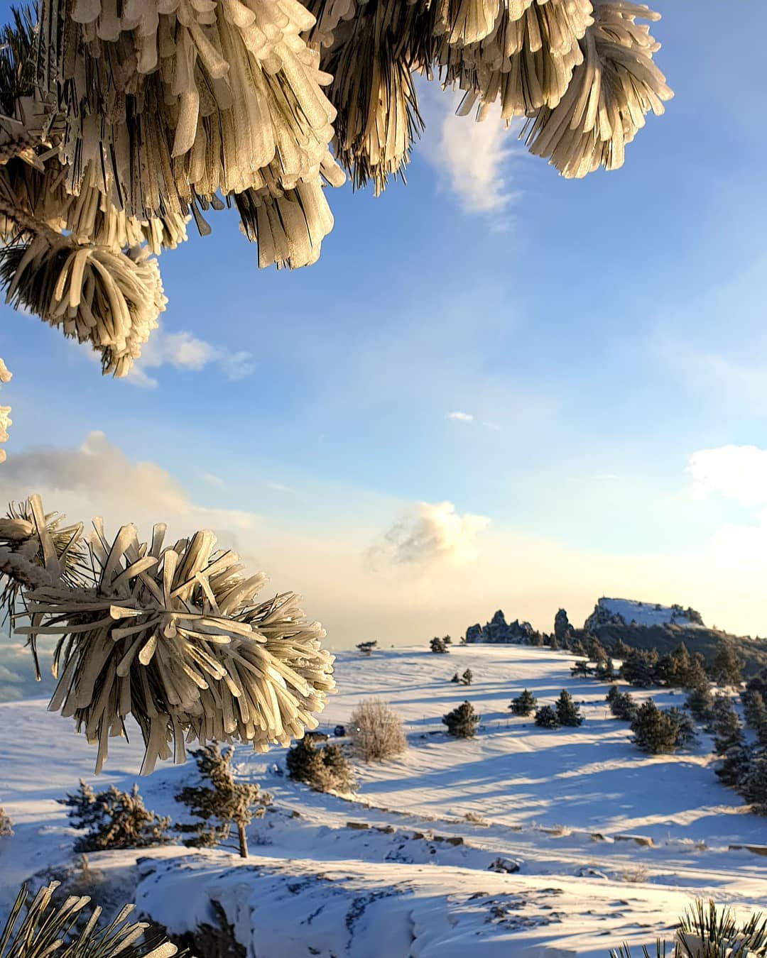 В Крим прийшла справжня зима: від краси перехоплює подих (фото, відео)
