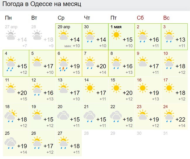Салмағы үш жүз келідегі семіз әйел жыныстық қатынасқа түседі.