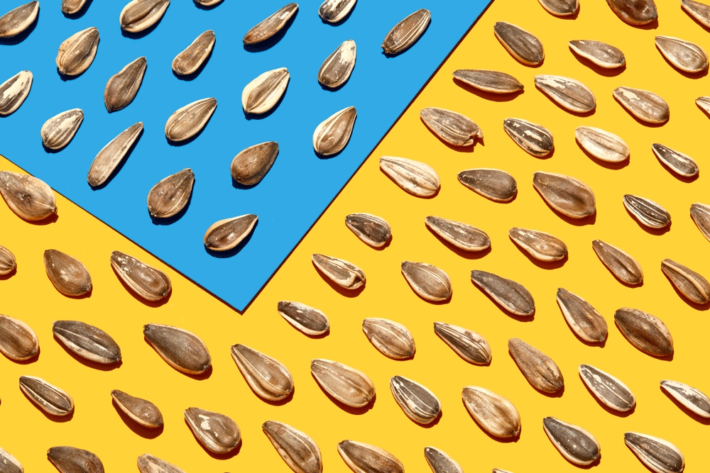 "Улучшает когнитивную функцию мозга": диетологи выявили неожиданную пользу семян подсолнечника