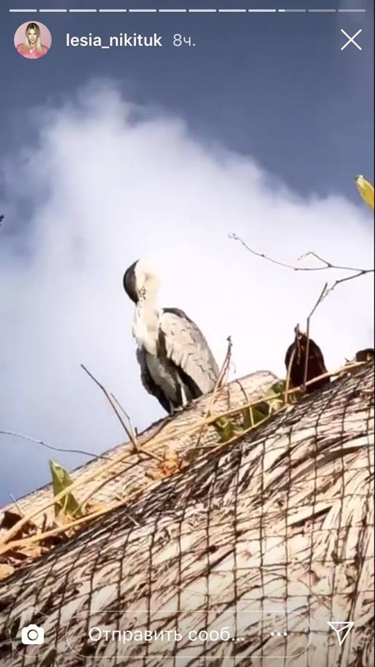 "Попа, як у Кім": Леся Нікітюк в бікіні справила фурор своїми формами