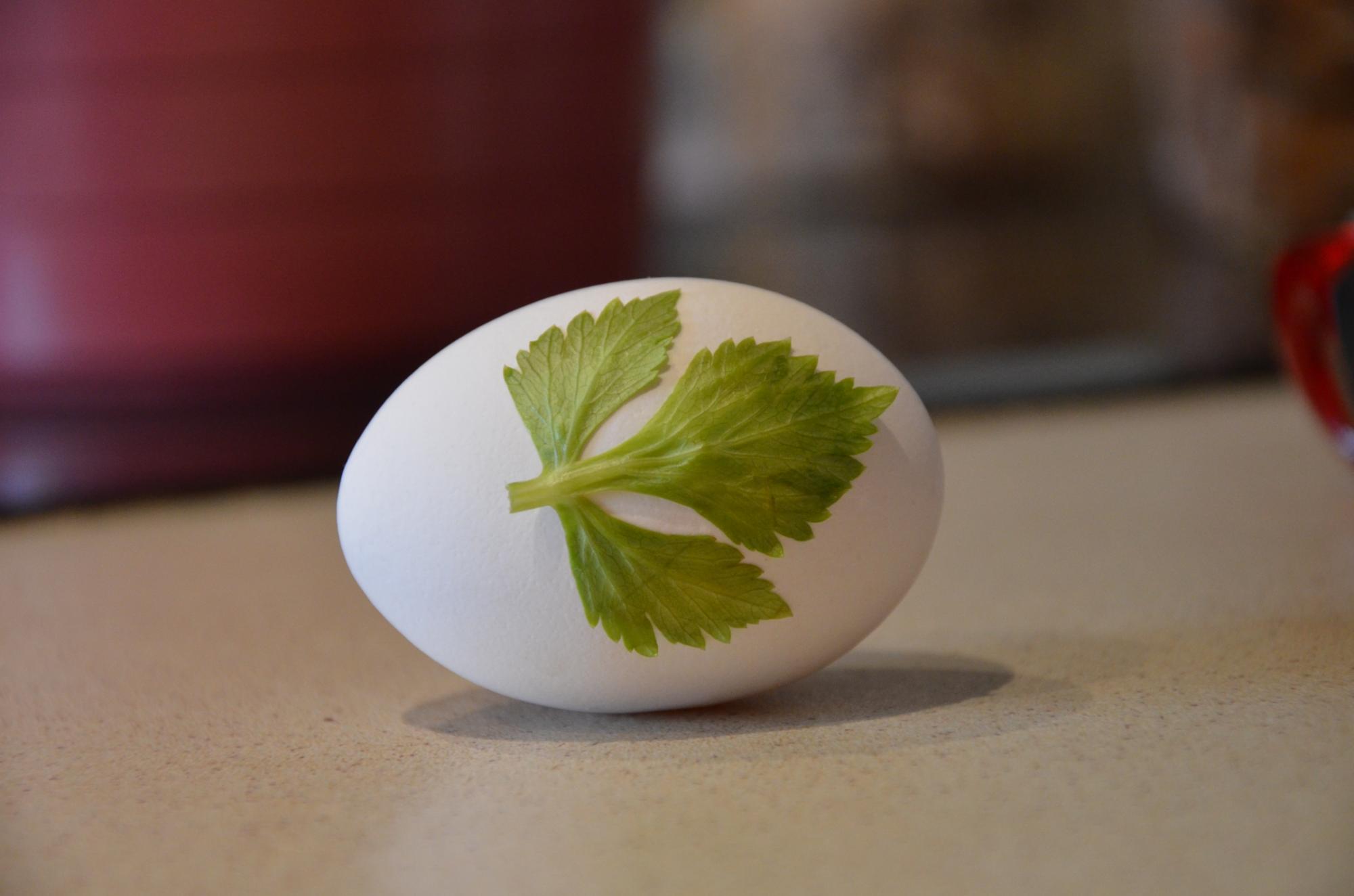 Оригинальный и простой способ сделать крашенки к Пасхе: результат вас удивит