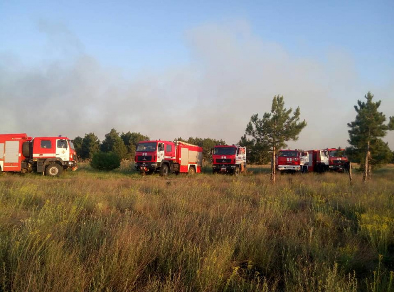 Пожар в Херсонской области охватил уже 580 гектаров леса