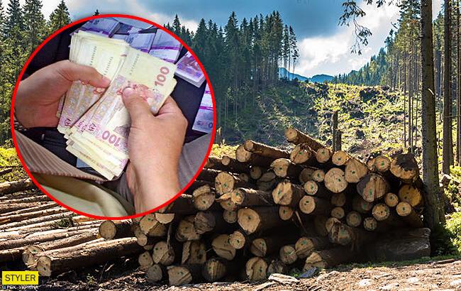 Непогода на западе Украины: разрушены 154 км автодорог и 57 мостов, подтоплены 262 населенных пункта, - ГСЧС - Цензор.НЕТ 7474