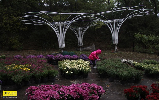 Похолодает еще больше: каким областям не повезет с погодой (фото)