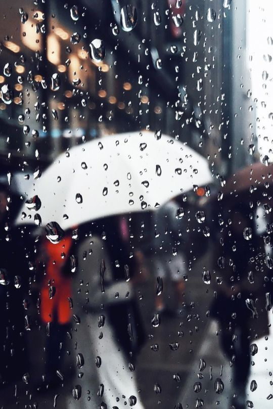 В Украине объявили штормовое предупреждение: где разгуляется непогода