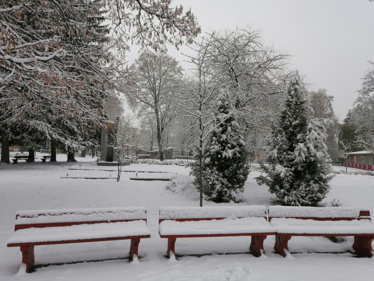В Украину пришла сказочная зима: на фото попали невероятные пейзажи