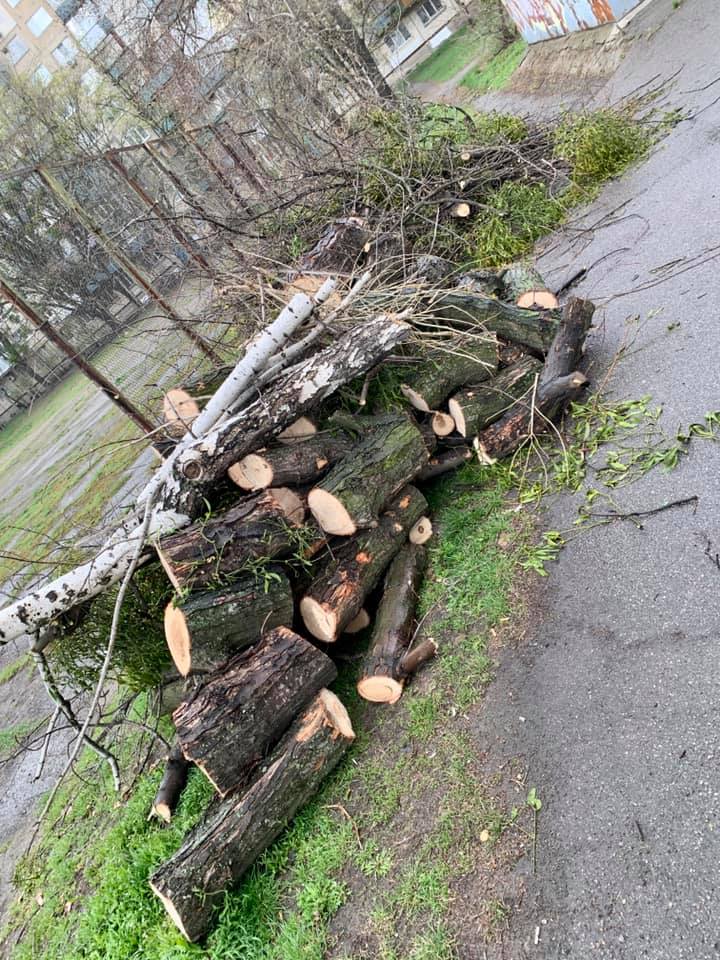 У Києві нещадно порізали дерева: "комусь не вистачає дров на шашлики?"