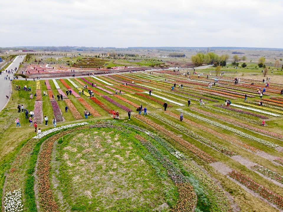 Под Киевом в закрытый на карантин парк пришли сотни людей: появилось видео