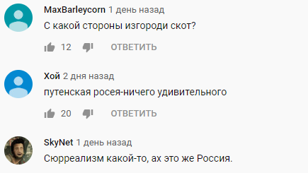 Скотский патриотизм: в России коров нарядили в форму солдат Красной армии (видео)