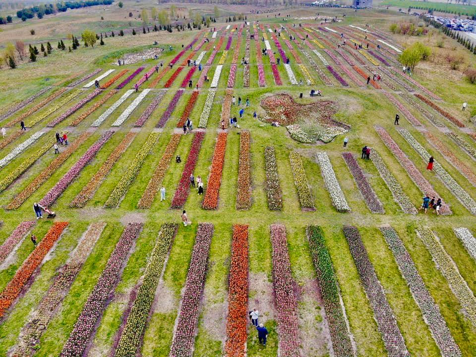 Под Киевом в закрытый на карантин парк пришли сотни людей: появилось видео