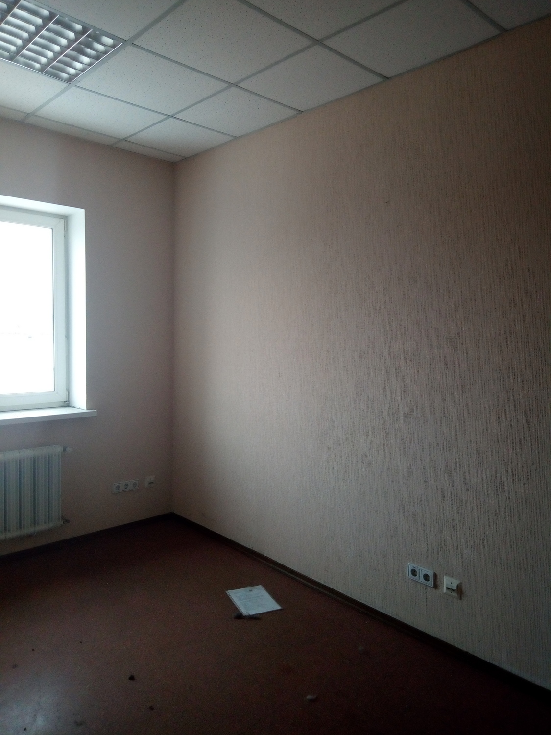 Хочу відкрити свій бізнес у "Борисполі": скільки коштує оренда невеликого приміщення