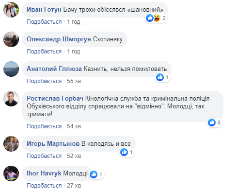 От таких нелюдей общество нужно избавлять: под Киевом извращенец напал на пенсионерку (фото)