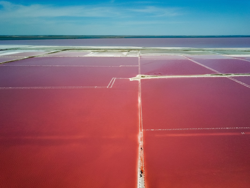 У Криму знамените озеро стало яскраво-рожевого кольору: видовищні фото