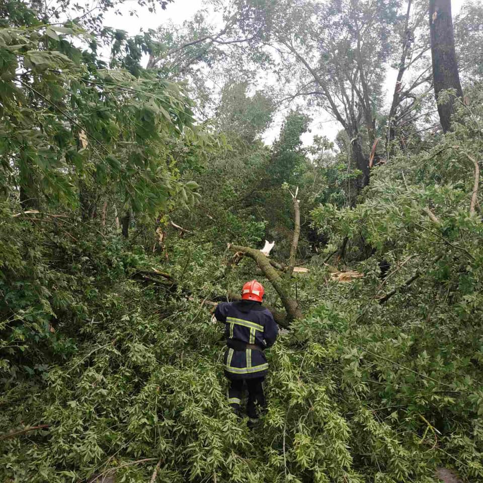 Повалені дерева і затоплені вулиці: під Рівним розбушувалася негода